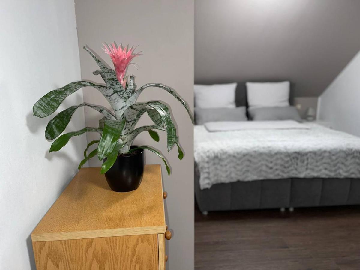 Ottenhofen im Schwarzwald Einzigartiges Apartment, Mitten In Der Natur מראה חיצוני תמונה
