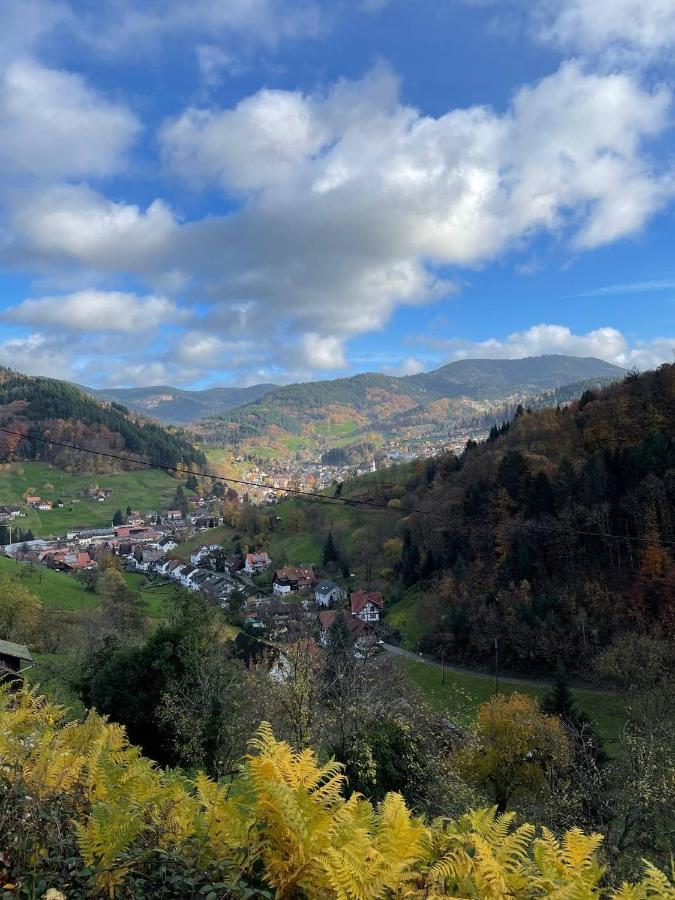 Ottenhofen im Schwarzwald Einzigartiges Apartment, Mitten In Der Natur מראה חיצוני תמונה