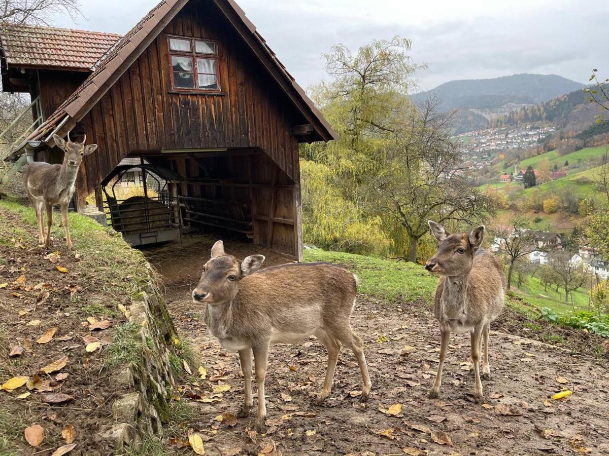 Ottenhofen im Schwarzwald Einzigartiges Apartment, Mitten In Der Natur מראה חיצוני תמונה