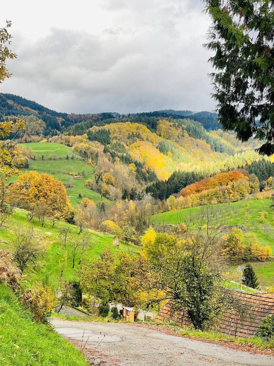 Ottenhofen im Schwarzwald Einzigartiges Apartment, Mitten In Der Natur מראה חיצוני תמונה
